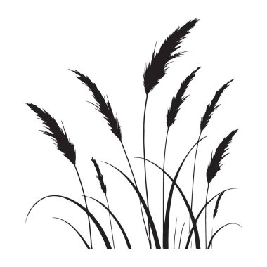 Basit Pampas Çim Vektörü Silueti Resimlendirme Grafik Tasarımı