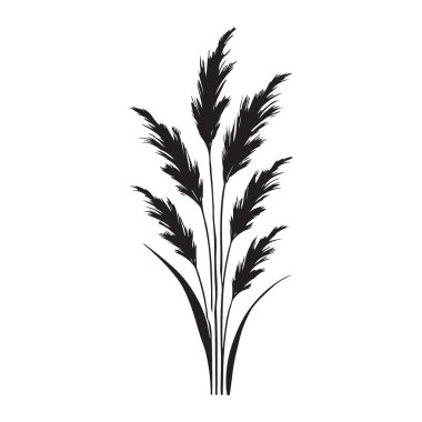 Doğal Tasarımlar İçin Tarz Reed Çim Vektörü İllüstrasyonu