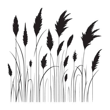 Tasarımcılar için Güzel Pampas Çimi Siluet Vektör Sanatı