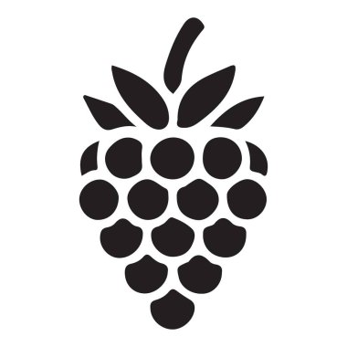 Sulu Siyah Ahududu Silueti Taze ve Lezzetli Meyve