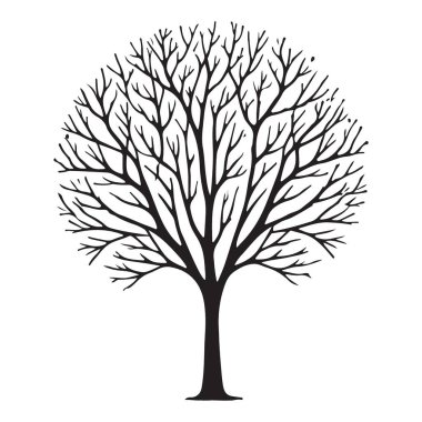 Kış mevsimini temsil eden çıplak ağaç vektör silüeti çizimi