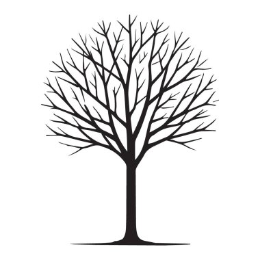Çıplak Ağaç Vektörü İllüstrasyonu Kış mevsiminin Stark Güzelliğini Sembolize ediyor