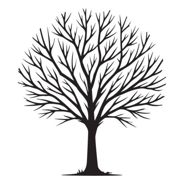 Minimalist Çıplak Ağaç Vektör Sanat Eserleri Kışın Güzelliğini Gösteriyor