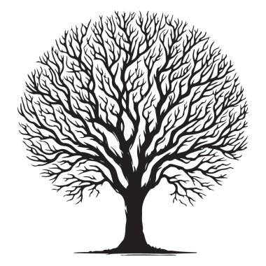 Yuvarlak Ağaç Silueti Vektör Tasarım Görüntü Ormanı Çizimi