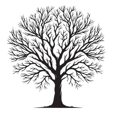Ayrıntılı çıplak ağaç vektör çizimi logo için basit tasarım