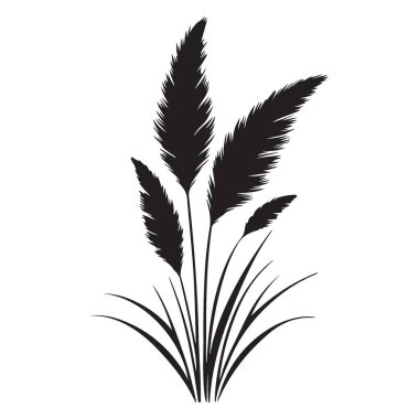 Bohem Biçimli Dekorasyonlar için Pampas Çimi Siluet Sanatı Yığını