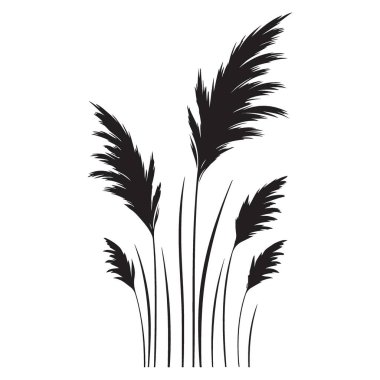 Grafik Tasarımı için Ayrıntılı Pampas Çimeni Siluet Vektör ResmiComment