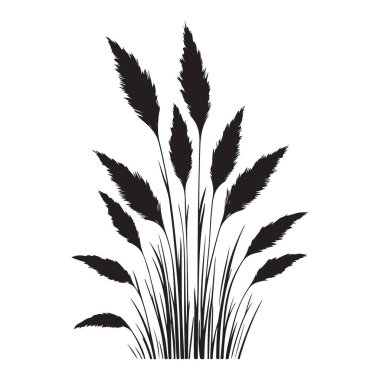 Ev Dekorasyonu için Zarif Pampas Çimi Siluet Çizim Vektörü