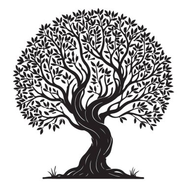 Akdeniz Tema Tasarımı için Zeytin Ağacı Silüeti Vektör ResimleriName