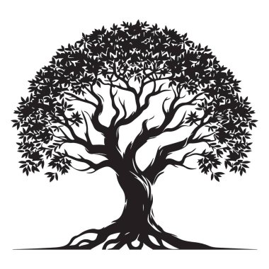 Görkemli Ağaç Silüeti Vektör Sanatı Güçlü Kökler ve Dallar