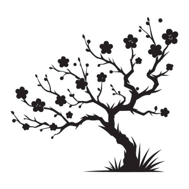 Zarif Erik Çiçeği Ağacı Silüeti Vektör Resmetme Sanatı Tasarımı