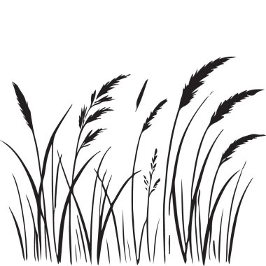 Dekoratif süslemenin zarif silueti yabani ot vektörü illüstrasyonu