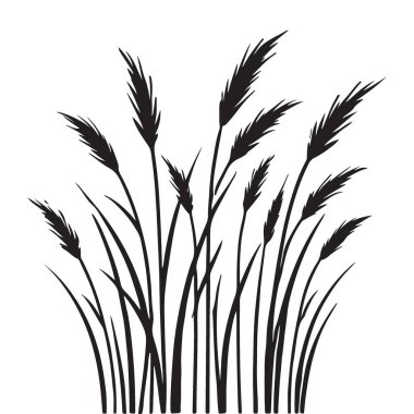 Vahşi Çimen Vektör Tasarımı Dekoratif Siluet Sanatı