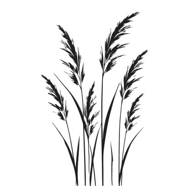 Dekoratif Vahşi Çimen Vektörünün Minimalist Siyah Silüeti