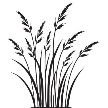 Peyzaj Tasarımları için Süslü Çimlerin Siluet Vektör İllüstrasyonu