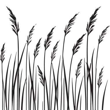 Doğal Manzaralar İçin Uzun Çimlerin Siluet Vektör ResmiComment
