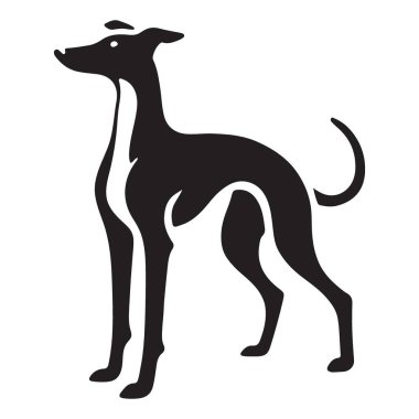 Zarif Greyhound Dog Siluet Vektör Resimleri Ayakta Profili