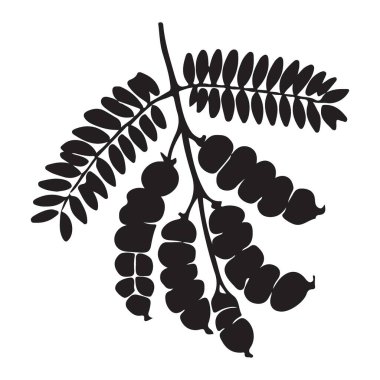 Mutfak Projeleri için Tamarind Pod Siluet Vektör İllüstrasyonu