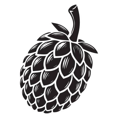 Bira Bira Hazırlama Projesi için Hop Cone Siluet Çizimi