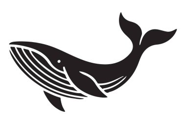 Görkemli Balina Görünümü Deniz Yaşamı Tasarımları İçin Mükemmel