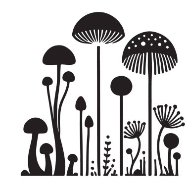 Botanik Tasarımlar İçin Mantar ve Bitki Resimleri Koleksiyonu
