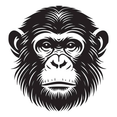 Ciddi şempanze yüz çizimi primat sanat yoğun bakışları