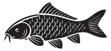 Siyah ve Beyaz Koi Balığı Görüntü Vektörü Grafiksel