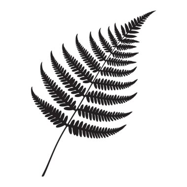 Botanik ve Doğa İlham Veren Tasarım İçin Fern Yaprak Vektörü İllüstrasyonu