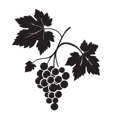 Tasarımcılar için Vine Siluet Resimlerinde Taze Siyah Üzümler