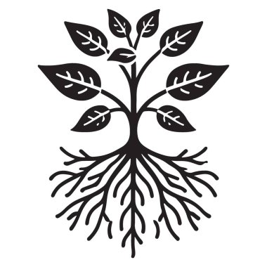 Bahçe Tasarımları İçin Kökler Silueti Resimli Zarif Bitki