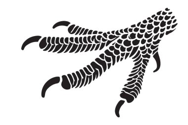 Fantezi Tasarımları İçin Ayrıntılı Kuş Pençesi Siluet Vektör Sanatı