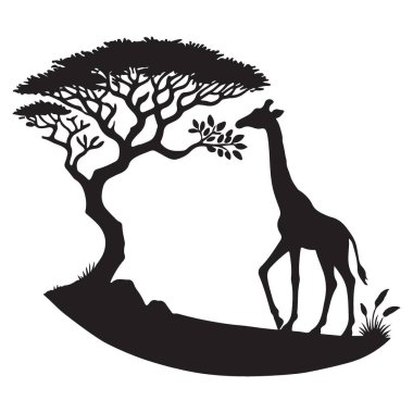 Afrika 'daki Akasya Ağacı' nın yakınındaki Zürafa Otlatan Silueti