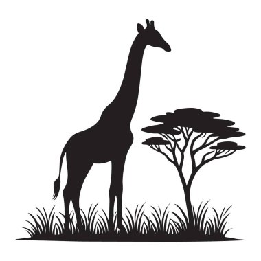 Afrika Teması için Zürafa ve Akasya Ağacı Silüet Vektör Tasarımı