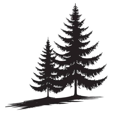 Doğal Tasarımlar İçin İki Evergreen Ağacının Serene Silueti