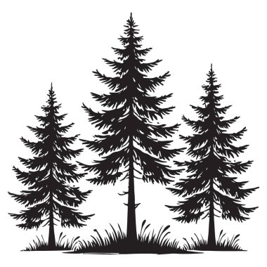Bir Orman Grafik Tasarımındaki Evergreen Ağaçlarının Siluet Kompozisyonu