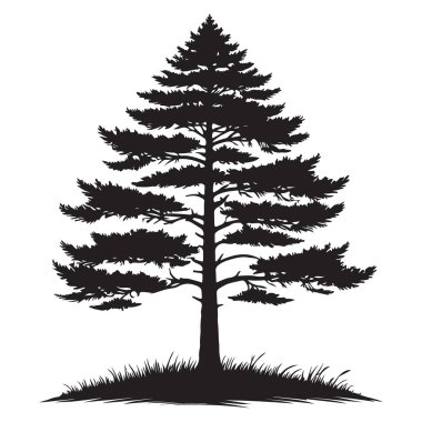 Ayrıntılı İğne Çizimi ile Evergreen Ağaç Vektörü Silueti