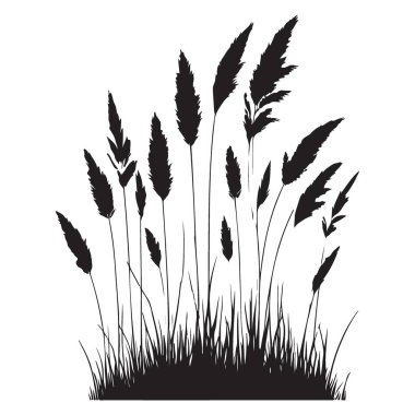Beyaz Arkaplanda Uzun Çimen Silüeti Vektör Grafiği İzole Edildi