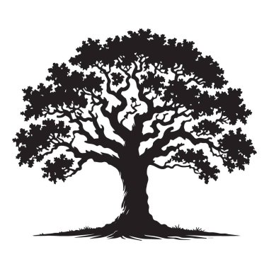 Büyük Meşe Ağacı Silüeti Vektör Görüntü Doğa Elementi