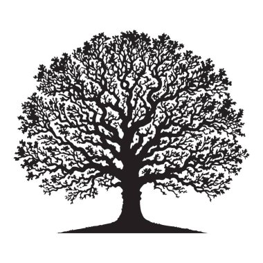 Sanatsal Projeler için Karmaşık Meşe Ağacı Silüeti Vektör Sanatı
