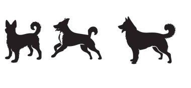 Mutlu Oynama Pozisyonlarıyla Husky Dog Siluet Vektör İllüstrasyonu