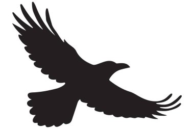 Kuzgun silueti vektör grafik kuş uçan ikonu
