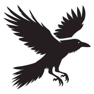 Uçan Kuzgun Siluet Vektör Tasarımı Grafik Çizim Biçimi