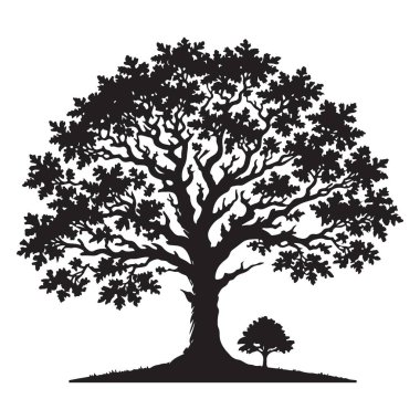 Ayrıntılı Ağaç Silüeti Resimleri ve Genç Saplı Sanat