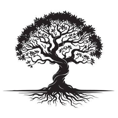 Eğri Gövde Tasarımlı Zarif Siluet Ağacı Çizim Vektörü