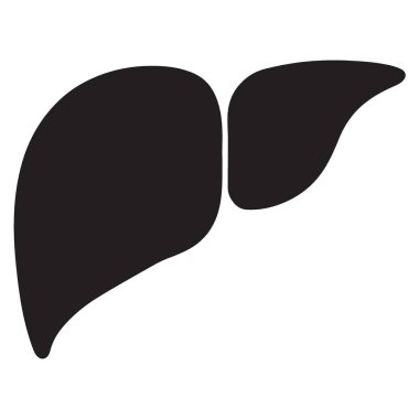 Tıbbi Projeler İçin İnsan Karaciğeri Görüntü Anatomisi Organı