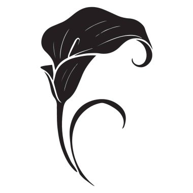 Modern Tasarımlar İçin Zarif Calla Lily Siluet Vektör Sanatı