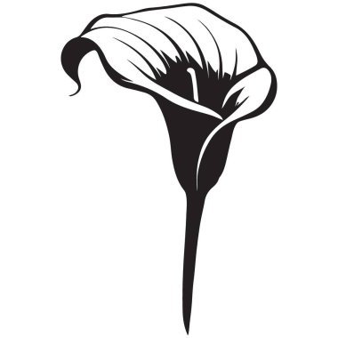 Basit Calla Lily Çiçeği Siluet Vektör Çizim Tasarımı