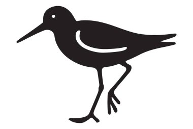 Siluet sahil kuşu wader profili illüstrasyon vektörü yaban hayatı gözlem tasarımı