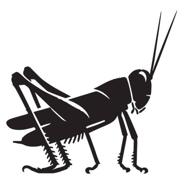 Çekirge Böcek Vektörü Siluet Çizim Tasarım Elemanı Grafiksel