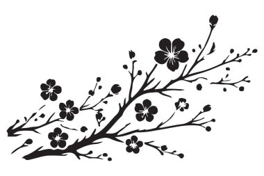 Çiçek Tasarımları için Kiraz Çiçeği Şubesi Siluet Vektör İllüstrasyonu